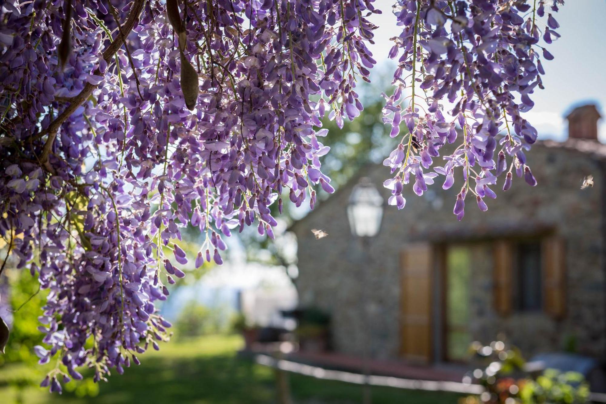 Le Cetinelle Casa de hóspedes Greve in Chianti Exterior foto