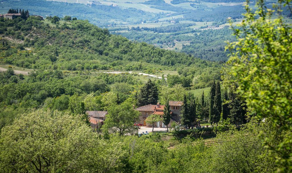 Le Cetinelle Casa de hóspedes Greve in Chianti Exterior foto