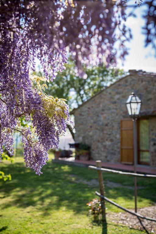 Le Cetinelle Casa de hóspedes Greve in Chianti Exterior foto